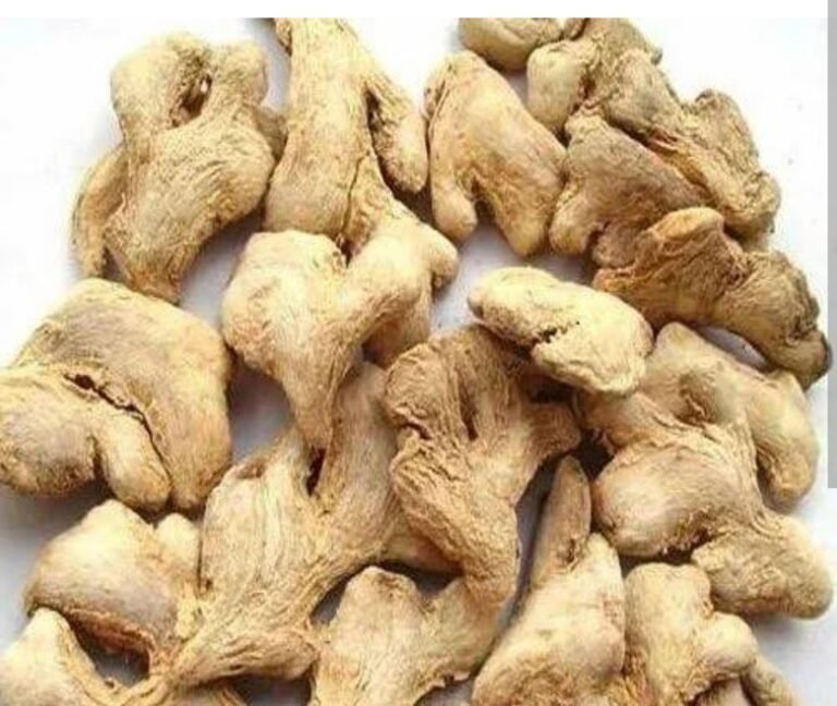 रोज खा स्वयंपाकघरातील १० रुपयांचा ‘हा’ पदार्थ, हार्ट अटॅकचा धोका होईल कमी, खराब कोलेस्ट्रॉल झटक्यात पडेल बाहेर