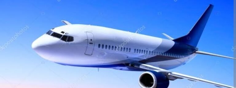 एका विमानात एक प्रसंग घडला, जो सगळ्यांना शिकवून गेला…