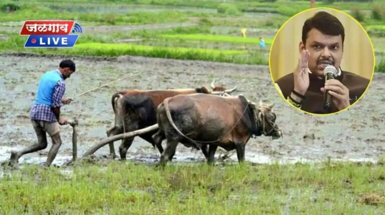 शेतकऱ्यांसाठी महत्वाची बातमी. १५ दिवसांत खात्यावर जमा होणार ११ हजार कोटी